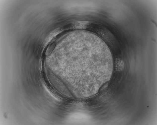 X0000103160726200809121837