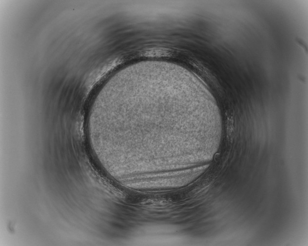 X0000103160727200809121837