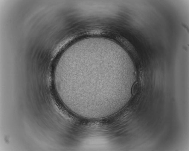 X0000103160728200809121837