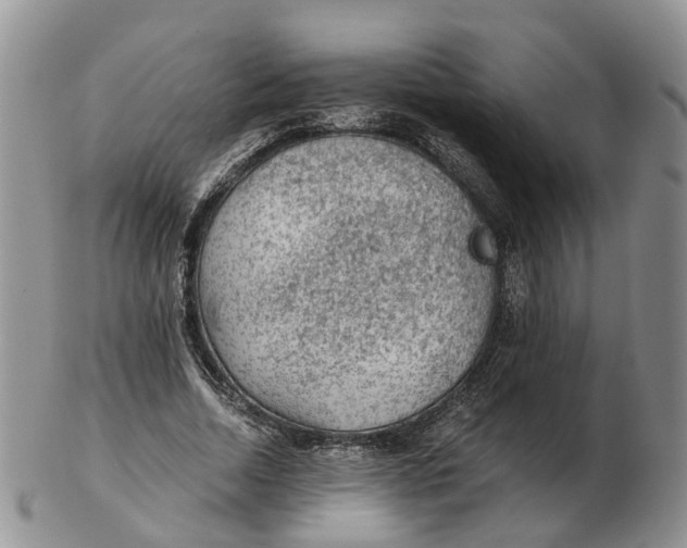 X0000103160730200809121837