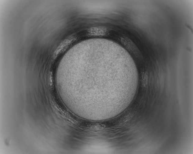 X0000103160731200809121837