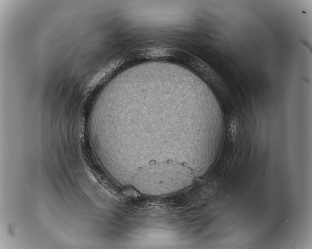 X0000103160732200809121837