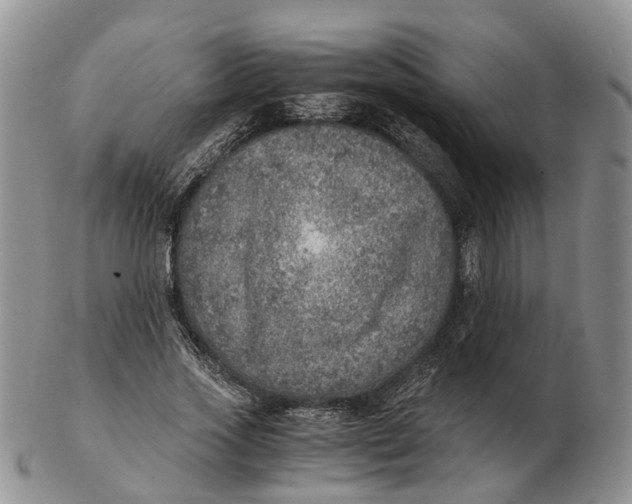 X0000103160733200809121837