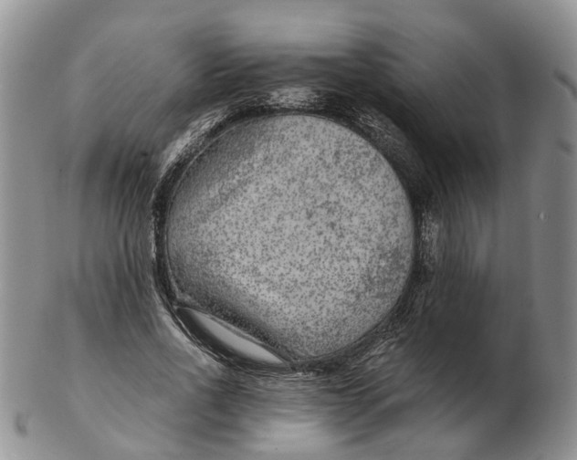 X0000103160734200809121837