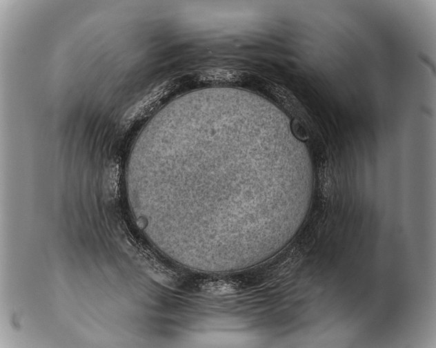 X0000103160735200809121837