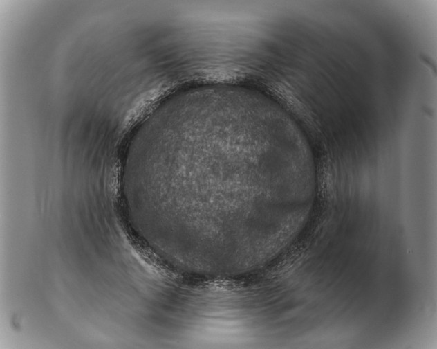 X0000103160736200809121837