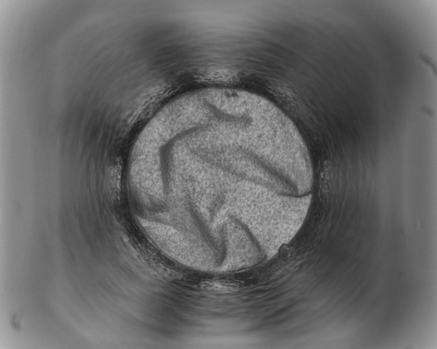 X0000103160739200809121837