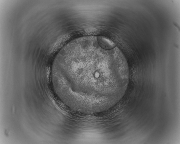 X0000103160742200809121837