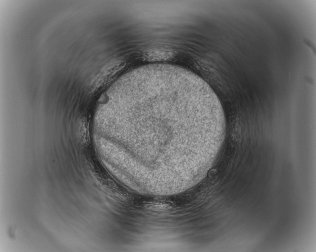 X0000103160743200809121837