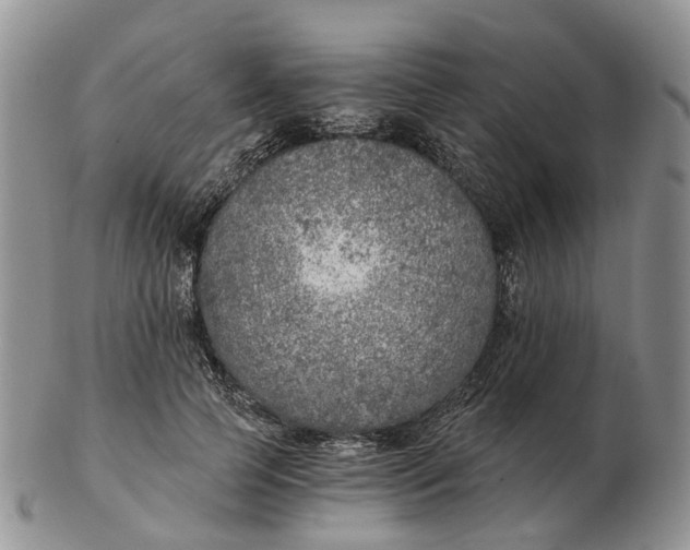 X0000103160745200809121837