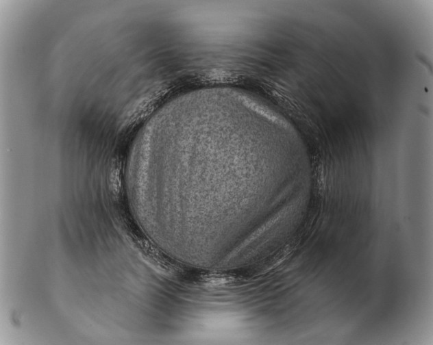 X0000103160746200809121837