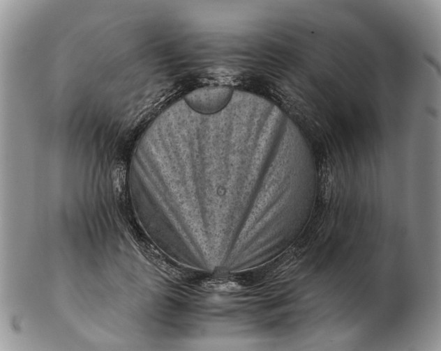 X0000103160747200809121837