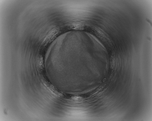 X0000103160748200809121838