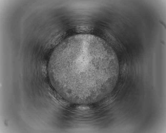 X0000103160749200809121838