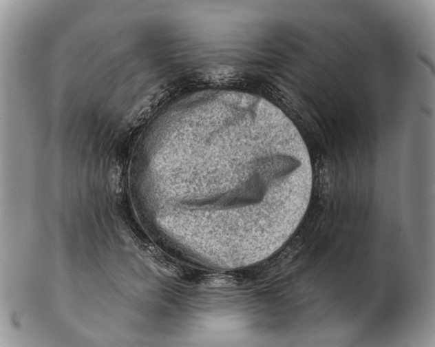 X0000103160750200809121838