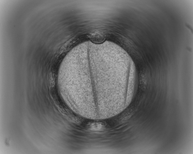 X0000103160751200809121838