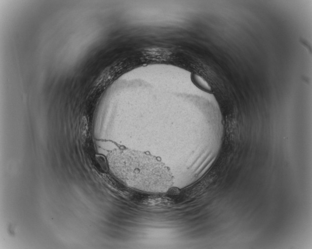 X0000103160752200809121838