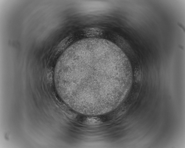 X0000103160753200809121838