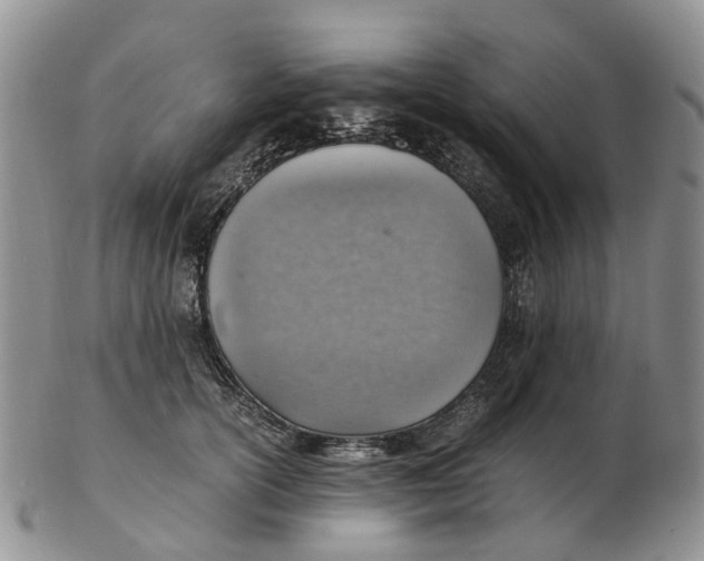 X0000103160754200809121838