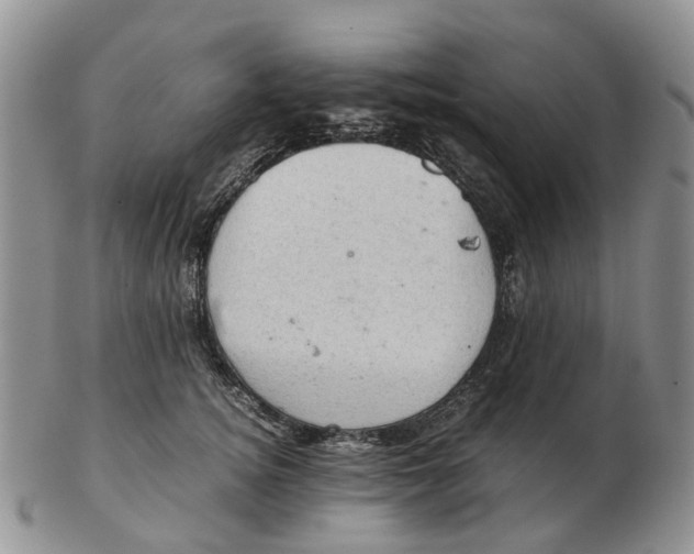 X0000103160756200809121838