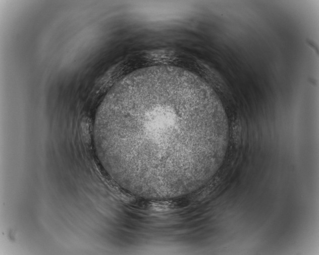 X0000103160757200809121838