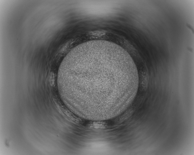 X0000103160758200809121838