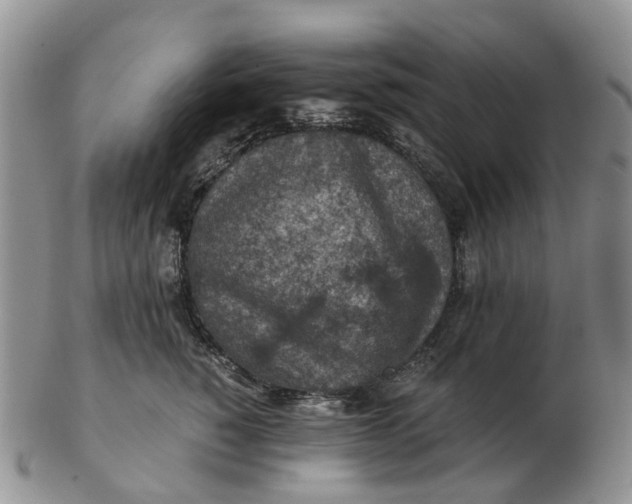 X0000103160760200809121838