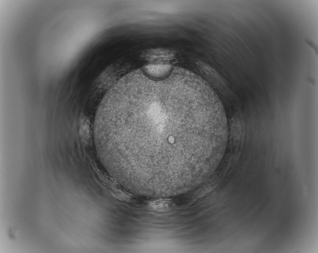 X0000103160761200809121838