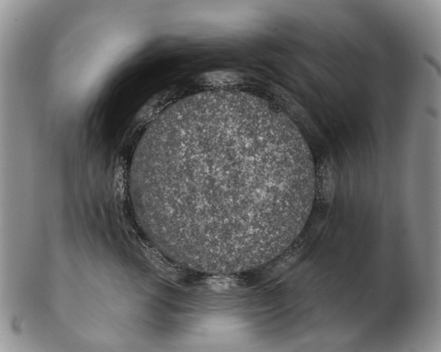 X0000103160762200809121838