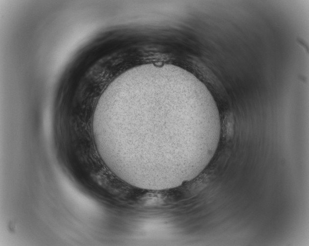 X0000103160764200809121838