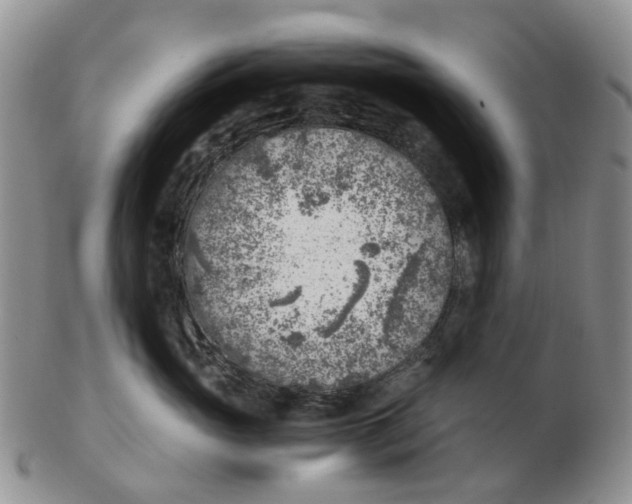 X0000103160765200809121838