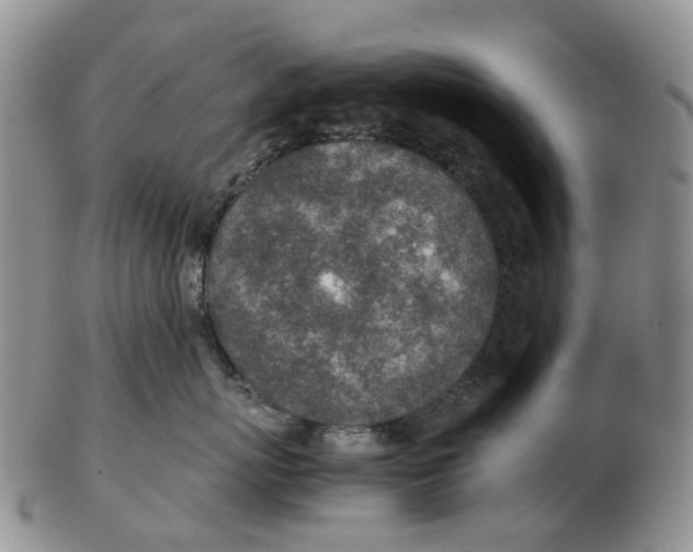 X0000103160767200809121838