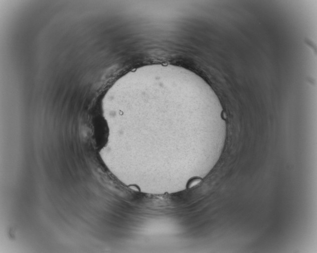 X0000103160768200809121838