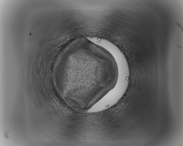 X0000103160769200809121837