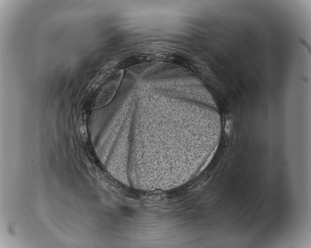 X0000103160771200809121837