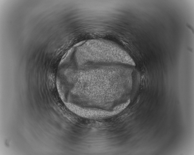 X0000103160772200809121837