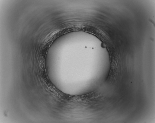 X0000103160773200809121837