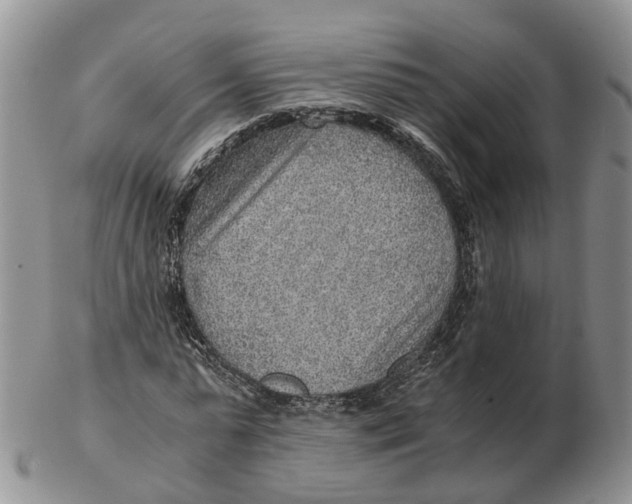 X0000103160775200809121837