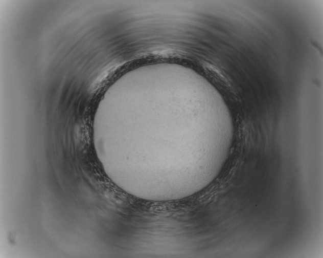 X0000103160776200809121837