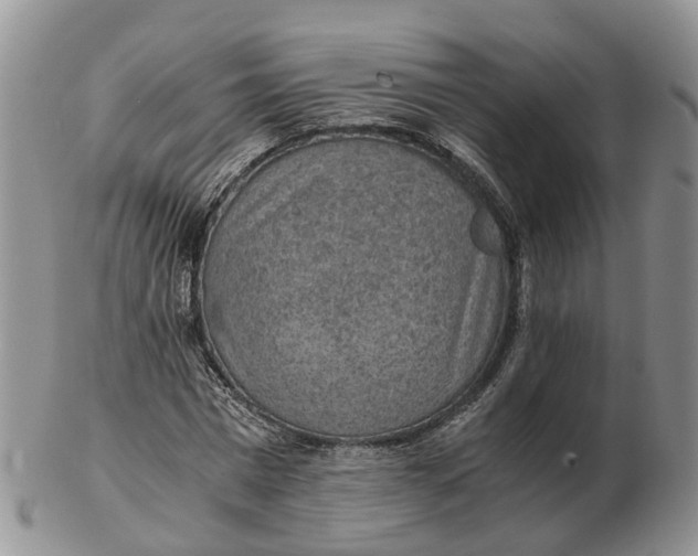 X0000103160777200809121837