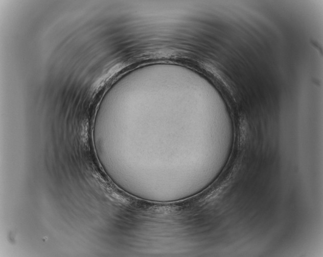 X0000103160778200809121837