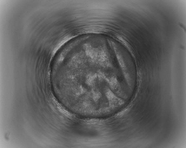 X0000103160779200809121837