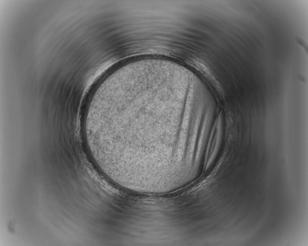 X0000103160780200809121837