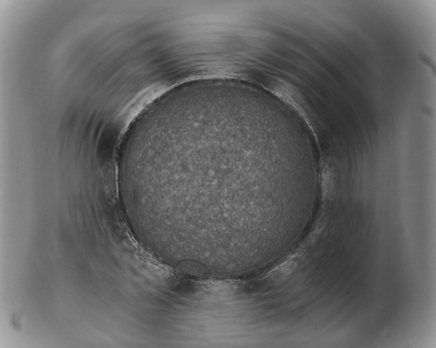 X0000103160781200809121837