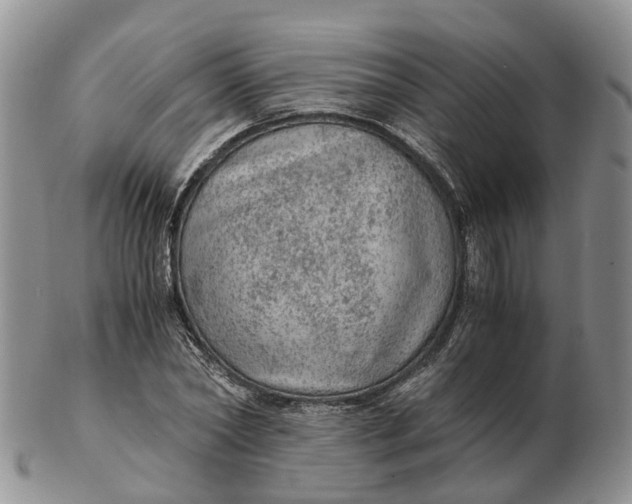 X0000103160782200809121837