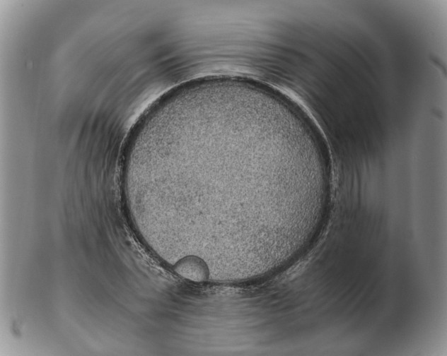 X0000103160783200809121837