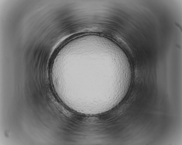 X0000103160784200809121837