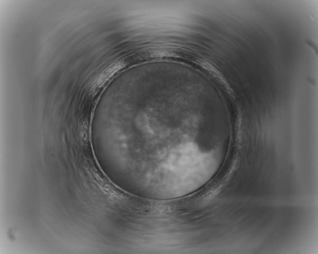 X0000103160785200809121837