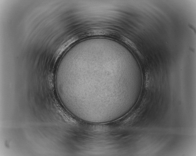 X0000103160786200809121837