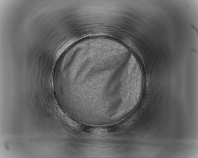 X0000103160789200809121837